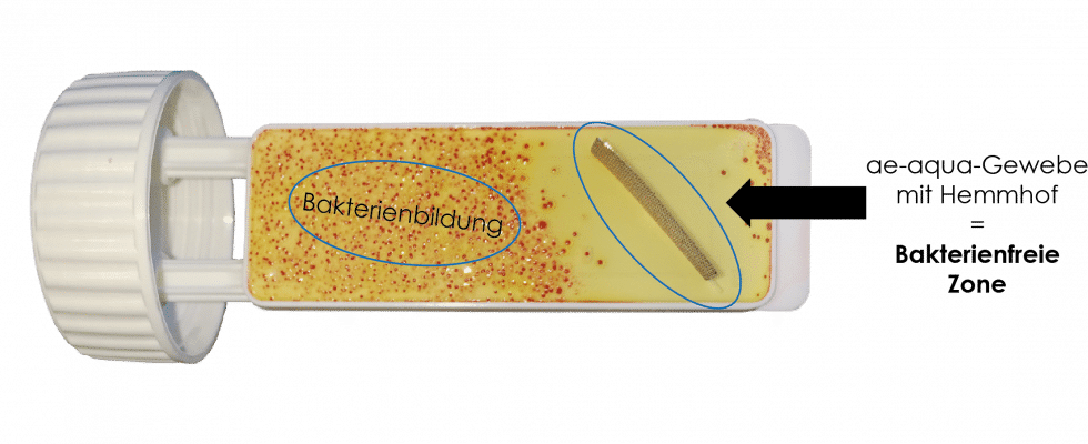Bakterienbildung ae-aqua Grafik